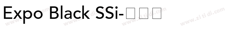Expo Black SSi字体转换